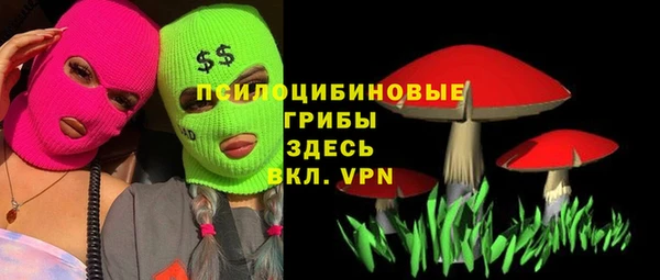a pvp Абаза