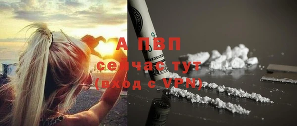 a pvp Абаза